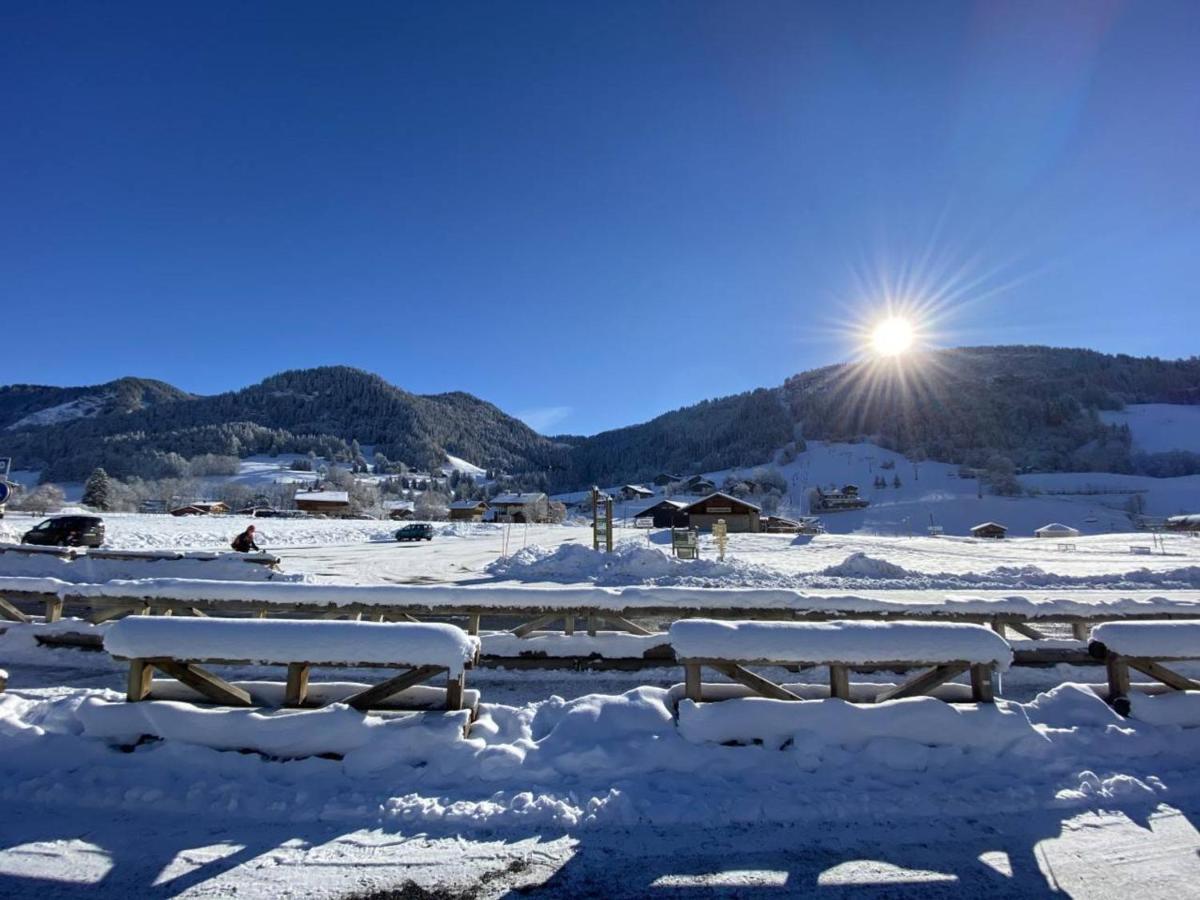 Studio Cabine A Praz-Sur-Arly - 4 Pers, Parking, Proche Centre Et Pistes - Fr-1-603-32 Екстер'єр фото